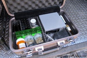 Poster for True Dromance