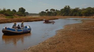 Poster for Hippopotamus amphibius