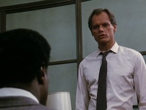 Poster for Dead or Alive