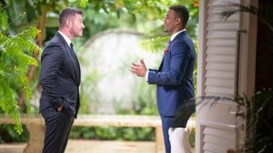 Poster for Finale and After the Final Rose