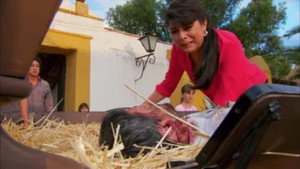 Poster for Episode 1 Poster for Episode 1