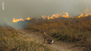 Poster for Episode 3