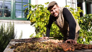 Poster for Toads and Loads of Nuts