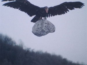 Poster for Attack! The Giant Bird