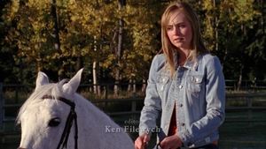 Poster for Divorce Horse