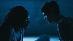 Poster for Reincarnation