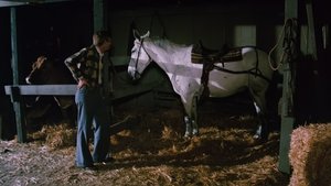 Poster for The Thoroughbred