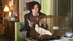 Poster for Birds of a Feather