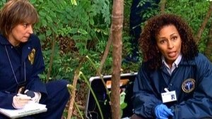 Poster for Signature