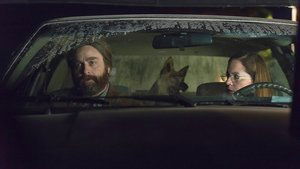 Poster for Strays