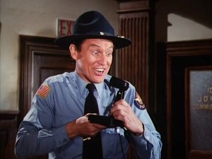 Poster for Officer Daisy Duke