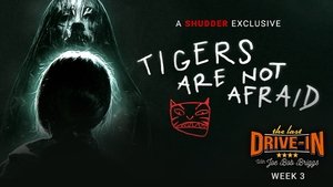 Poster for Tigers Are Not Afraid