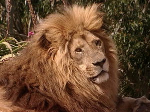 Poster for Episode 22