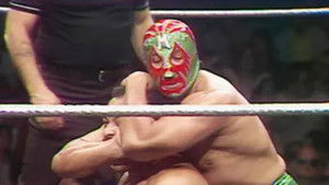 Poster for WWF Championship Wrestling - Apr 18, 1981 Poster for WWF Championship Wrestling - Apr 18, 1981