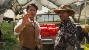 Poster for Traición Poster for Traición