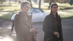 Poster for Warped Poster for Warped