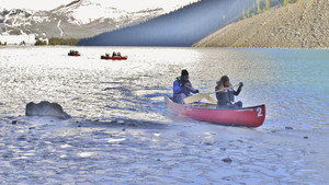 Poster for Week 5 (2)