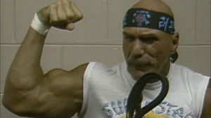 Poster for Mid-Atlantic Championship Wrestling - Nov. 17, 1984