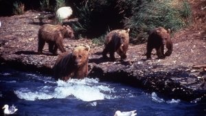 Poster for Showdown at Grizzly River