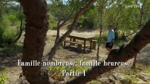 Poster for Tel épris qui croyait prendre: Partie 2