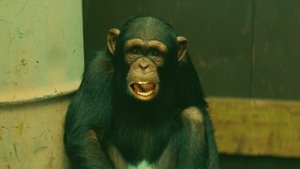 Poster for Monkey Largo