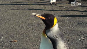 Poster for Episode 8 Poster for Episode 8