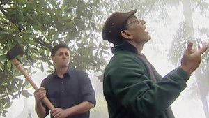 Poster for A Haunted Filmmaker