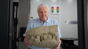 Poster for Attenborough and the Jurassic Sea Monster
