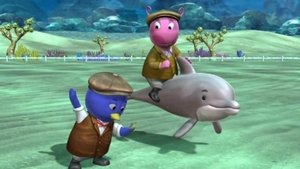 Poster for The Great Dolphin Race