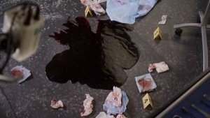 Poster for The Shot in the Dark