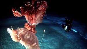 Poster for Under Antarctic Ice
