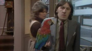 Poster for Watch The Birdie