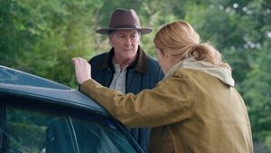 Poster for I Climbed a Mountain and I Turned Around