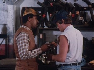 Poster for Cooter's Confession