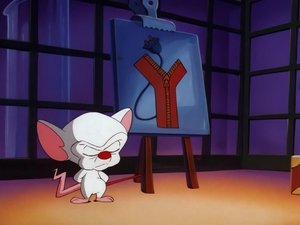 Poster for The Pinky And The Brain Reunion Special