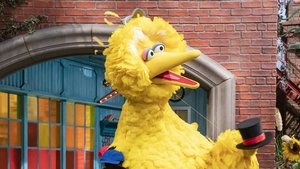 Poster for Measuring Big Bird