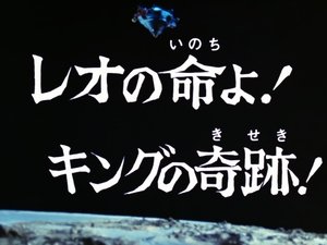 Poster for The Life of Leo! The Miracle of King!