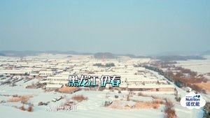 Poster for Episode 12