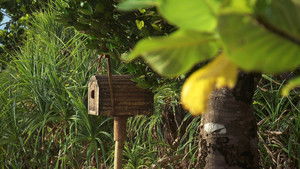 Poster for Episode 23