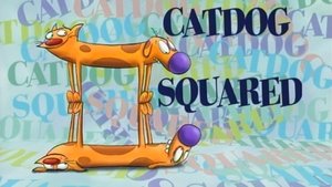 Poster for CatDog Squared