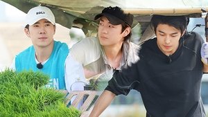Poster for Episode 80