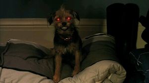 Poster for Lawn of the Dead Poster for Lawn of the Dead