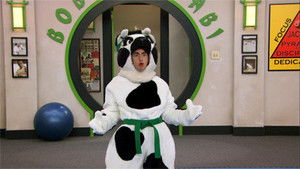 Poster for Dueling Dojos Poster for Dueling Dojos