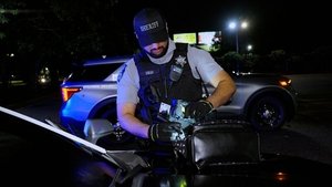 Poster for Family Matters