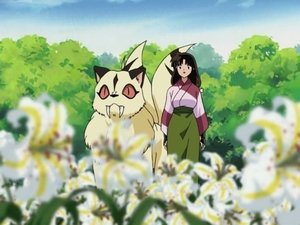 Poster for Kohaku, Sango and Kirara: The Secret Flower Garden