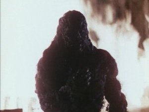 Poster for Dark Side of the Mirror