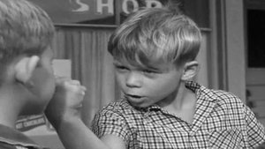 Poster for Opie and the Bully