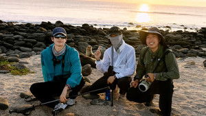 Poster for Episode 1