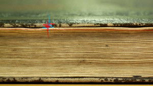 Poster for 17/06/2016