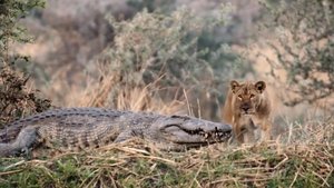 Poster for Sanctuary